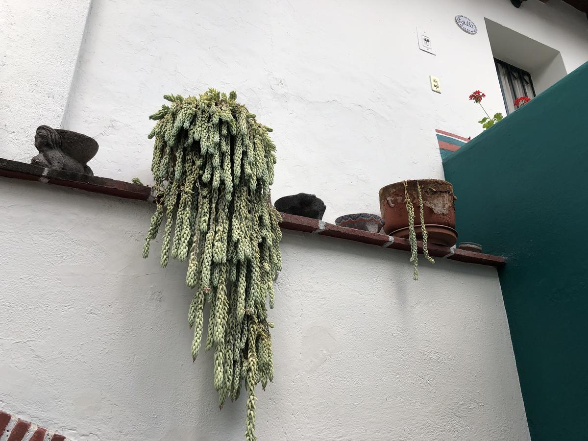 Meson Del Penasco Apartment Oaxaca ภายนอก รูปภาพ
