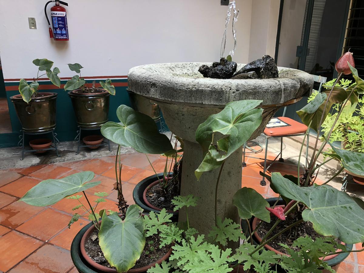 Meson Del Penasco Apartment Oaxaca ภายนอก รูปภาพ